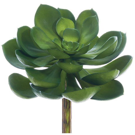 Echeveria, rosette, succulent, artificial flowers, silk flowers, home decor, modern, contemporary