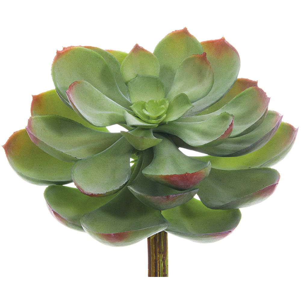 Echeveria, rosette, succulent, artificial flowers, silk flowers, home decor, modern, contemporary