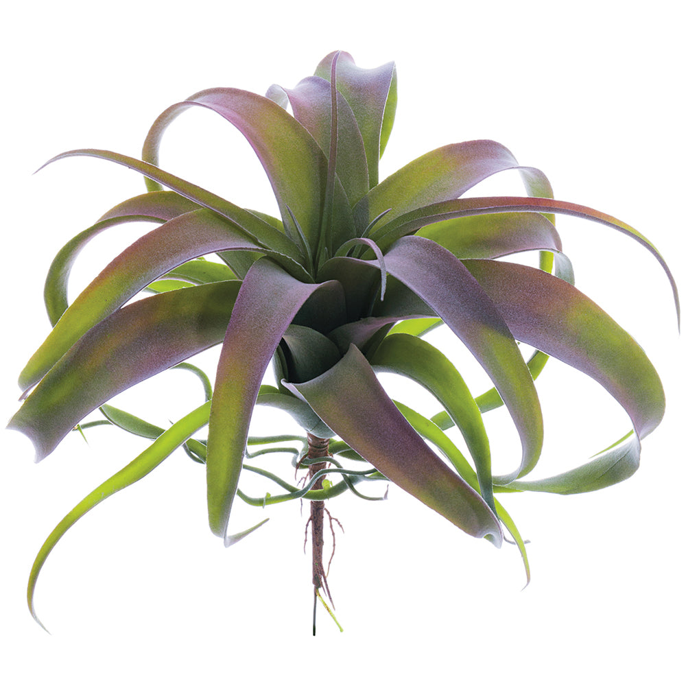 succulent, artificial plant, silk flowers, air plant, Tillandsias, Bromeliaceae
