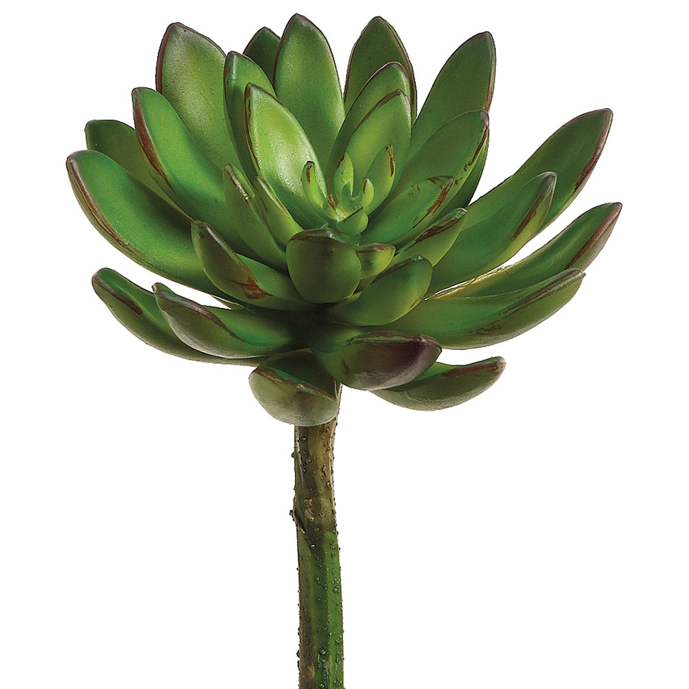 echeveria, succulent, artificial flowers, artificial succulent, home decor, silk flowers