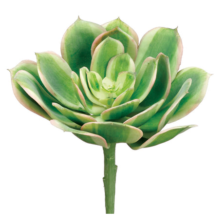 Echeveria, rosette, succulent, artificial flowers, silk flowers, home decor, modern, contemporary,