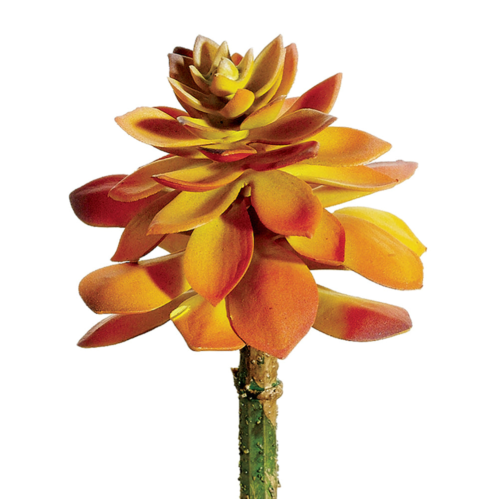 echeveria, rosette, succulent, artificial flowers, silk flowers, home decor, modern, contemporary