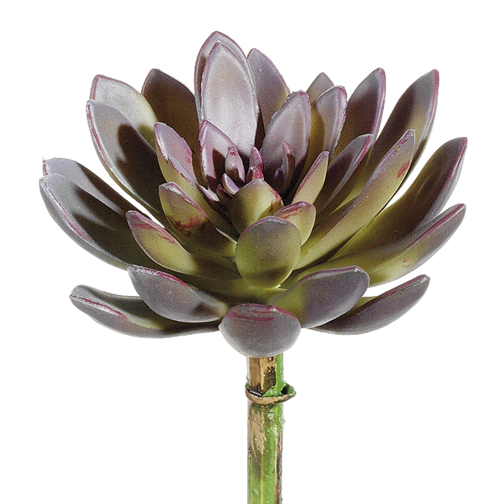 echeveria, succulent, rosette, artificial flowers, silk flowers, home decor, modern, contemporary