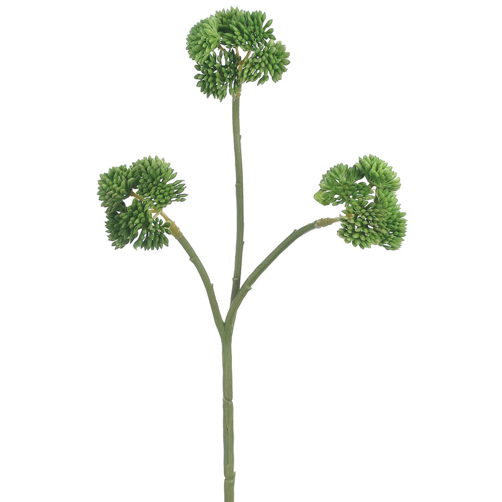 succulent, artificial plant, silk flowers, sedum, stonecrop, Crassulaceae family