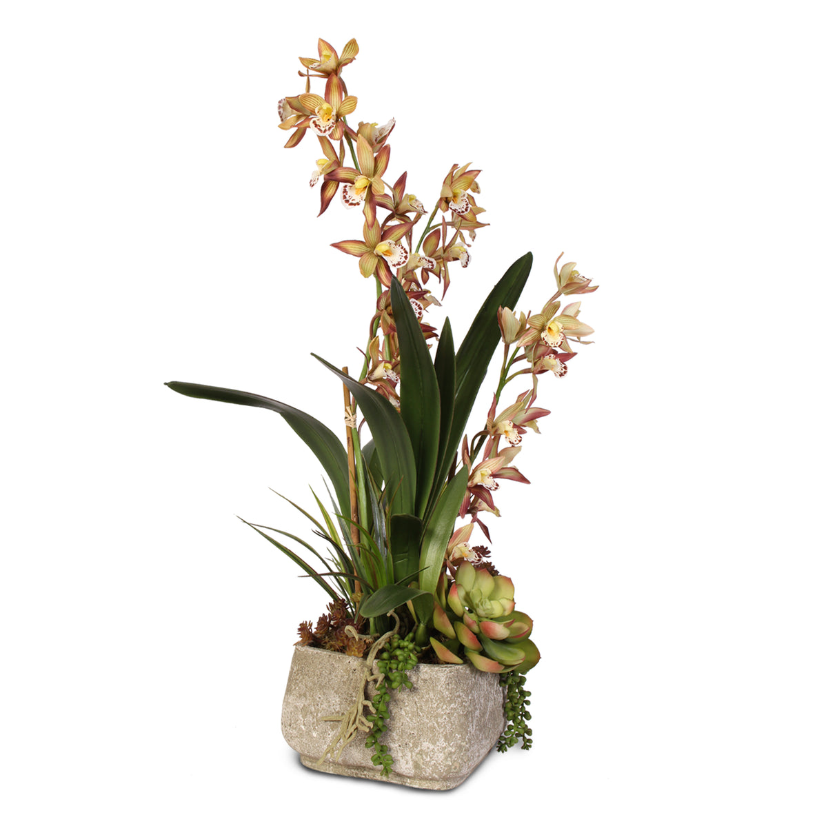 Cymbidium Orchids and Succulents Silk Flower Arrangement In A Square Cement Pot #F-10E
