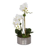 Real Touch White, Pink Accent Phalaenopsis Orchids Arrangement in Round Silver Ceramic Pot # F-126