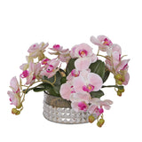 Jenny Silks Real Touch Pink Phalaenopsis Orchids Flower Arrangement in Glass Bowl #F-128