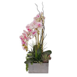 Jenny Silks Real Touch Pink Phalaenopsis Orchids and Succulents Flower Arrangement#F-132