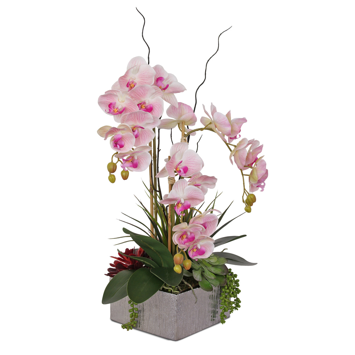 Jenny Silks Real Touch Pink Phalaenopsis Orchids and Succulents Flower Arrangement#F-132