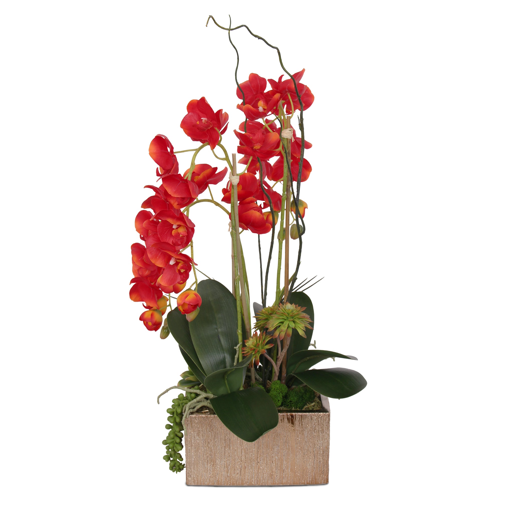 Double Phalaenopsis Orchid display dressed with curly willow and moss by  Green Bouquet Floral Design