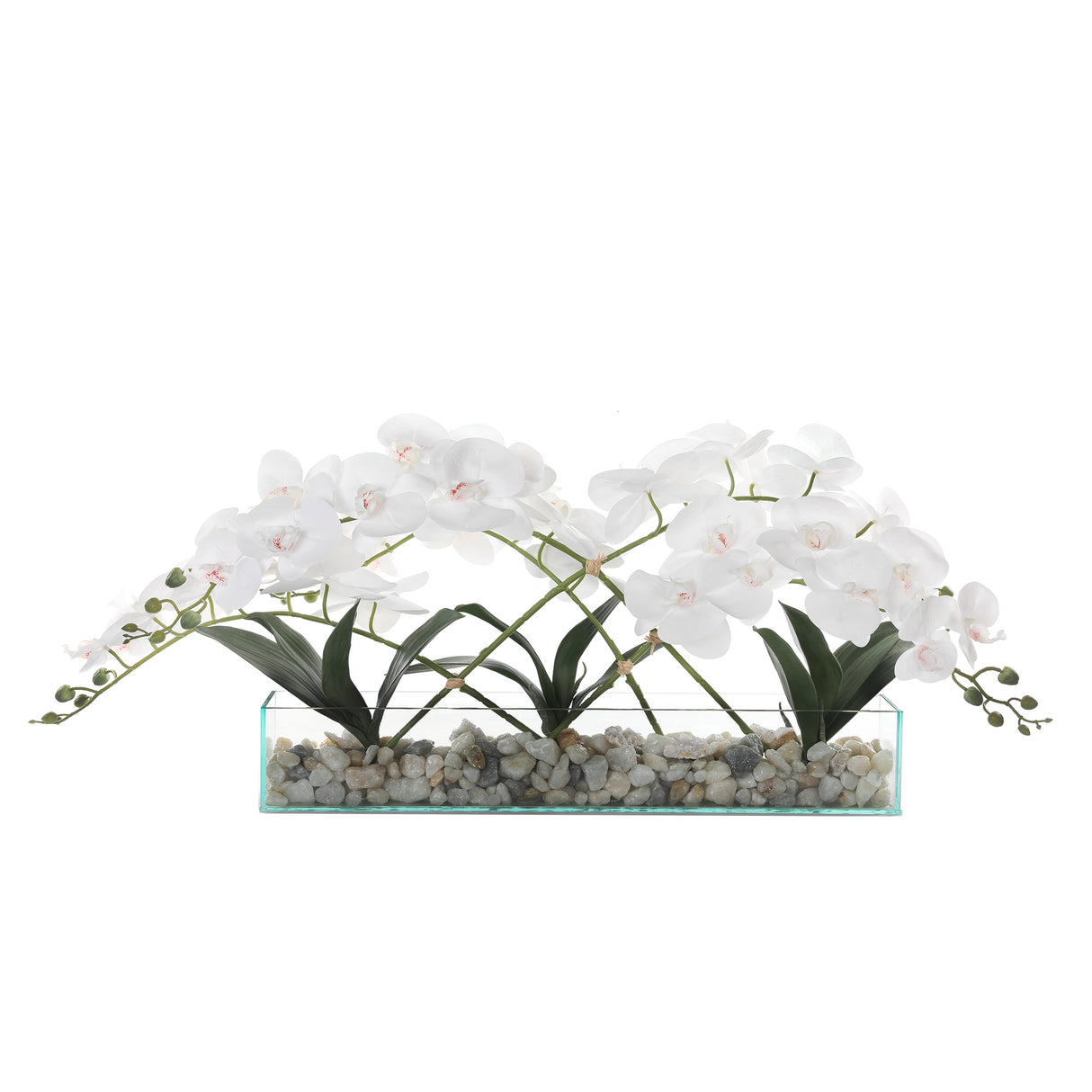White Orchid Arrangement with Rocks In Rectangle Glass Vase#F-184