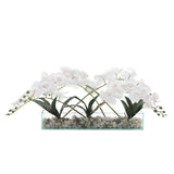 White Orchid Arrangement with Rocks In Rectangle Glass Vase#F-184
