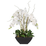 Real Touch Orchids and Leaves in Black Metal Zinc Pot #F-37