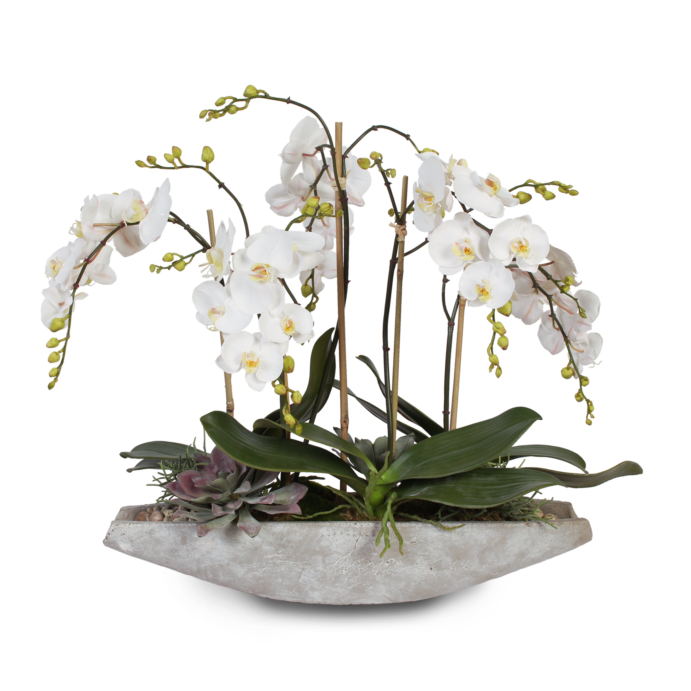 Real Touch White Phalaenopsis Orchids in Stone Bowl #F-38 – Jenny Silks