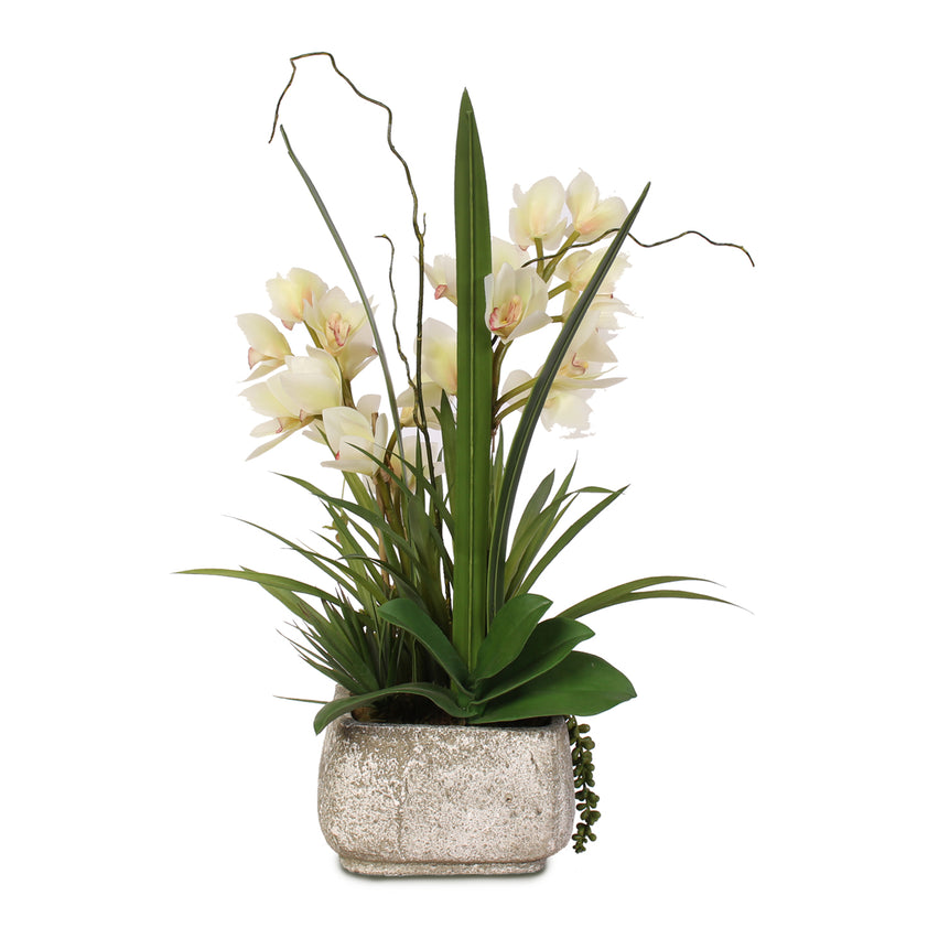 Real Touch White Cymbidium Orchids with Artificial Succulents in Concr ...