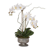 Real Touch White Phalaenopsis Orchid with Succulent in Silver Aged Metal Pot #F-71