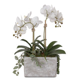 Jenny Silks Real Touch Cream White Phalaenopsis Orchid with Seashells Artificial Arrangement in Rectangle Stone Wash Pot #F-72