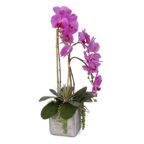 Real Touch Purple Beauty Orchid and Succulent Arrangement #JS07