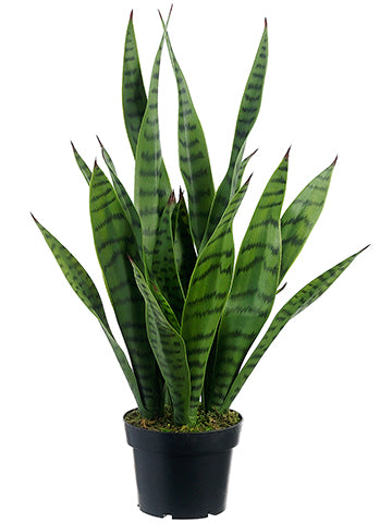 snake plant, Saint George's sword, mother-in-law's tongue, viper's bowstring hemp, artificial, silk flowers, succulent, potted plant, sansevieria