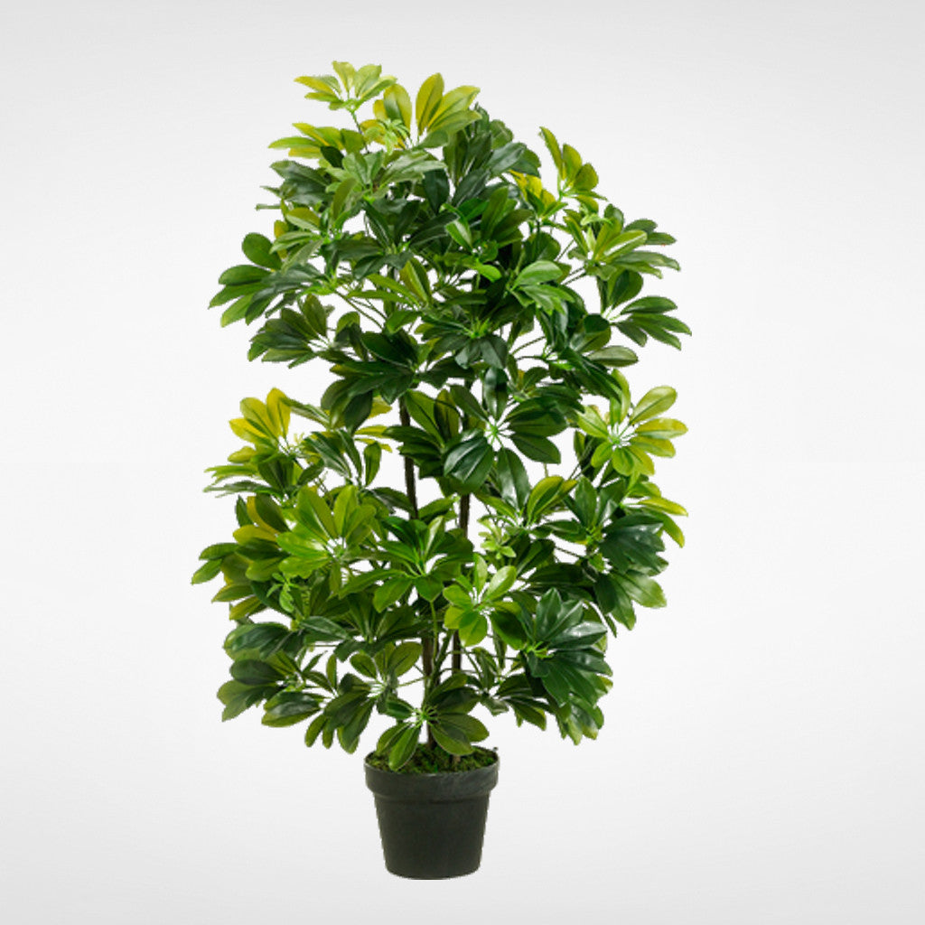 EVA Schefflera Tree #LPS765-GR