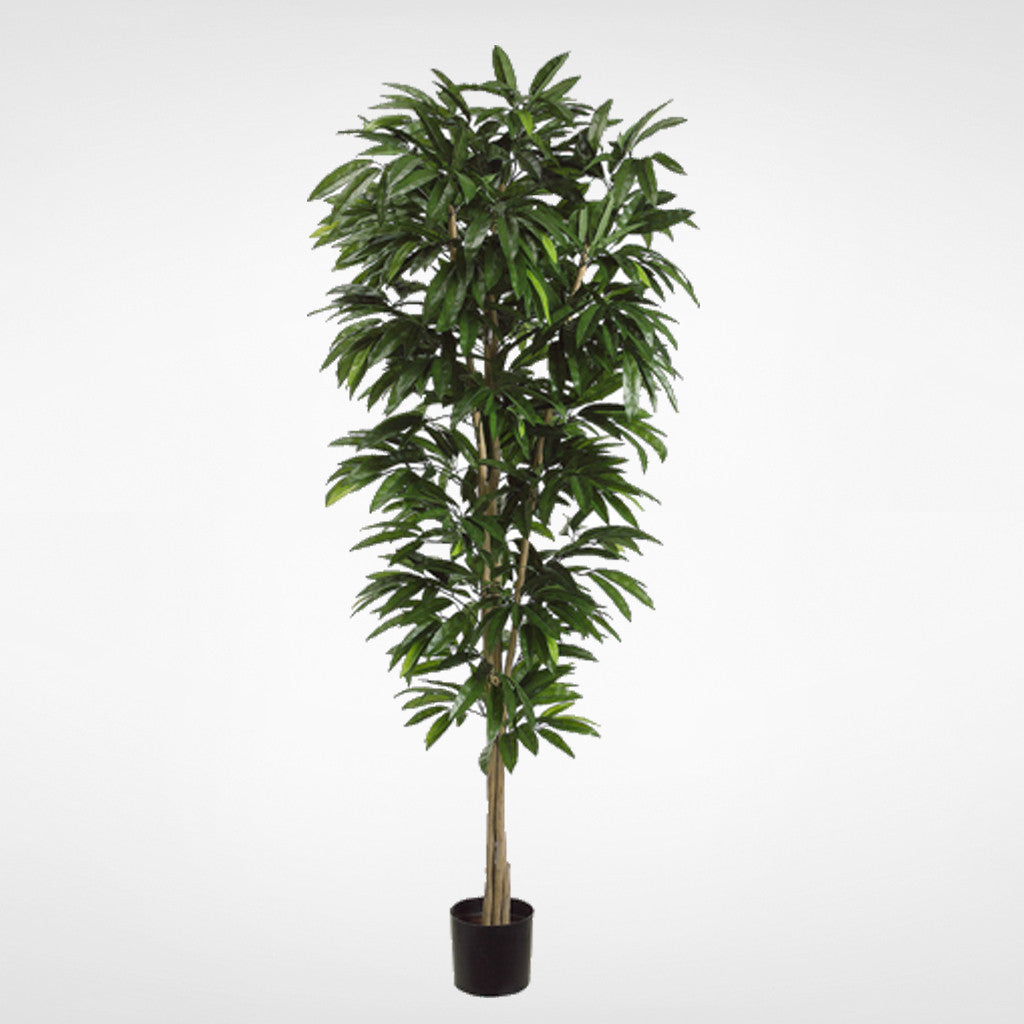 Schefflera Tree #LTS105-GR – Jenny Silks