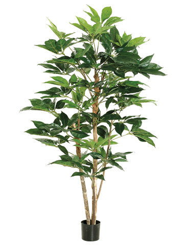 Schefflera Tree #LTS105-GR – Jenny Silks