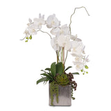 Real Touch White Phalaenopsis Orchids With Succulents in Silver Ceramic Pot #OS-17