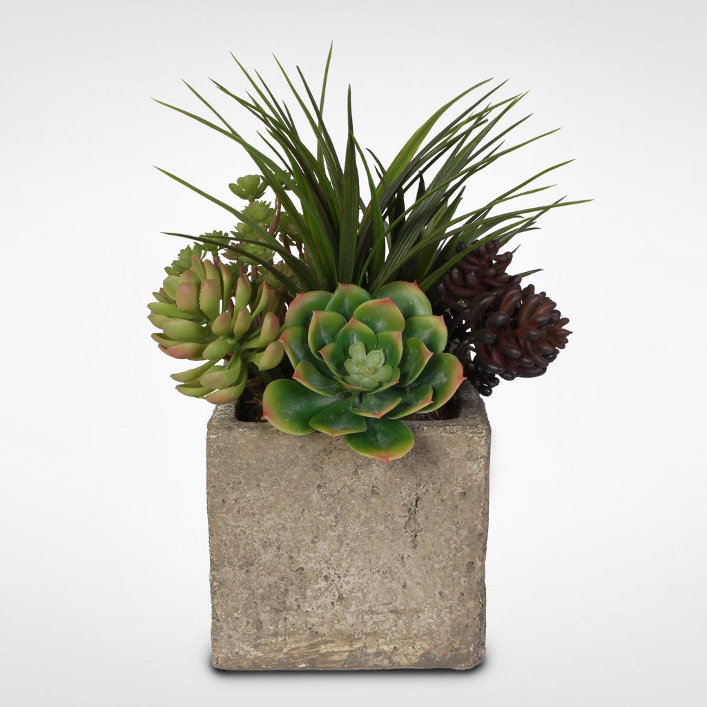 Artificial Succulent and Grass Arrangement in a Concrete Cube Pot #OS-20