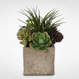 Artificial Succulent and Grass Arrangement in a Concrete Cube Pot #OS-20