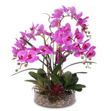 Real Touch Purple Phalaenopsis Orchid with Succulents and Natural Rocks in Glass Pot #OS-29