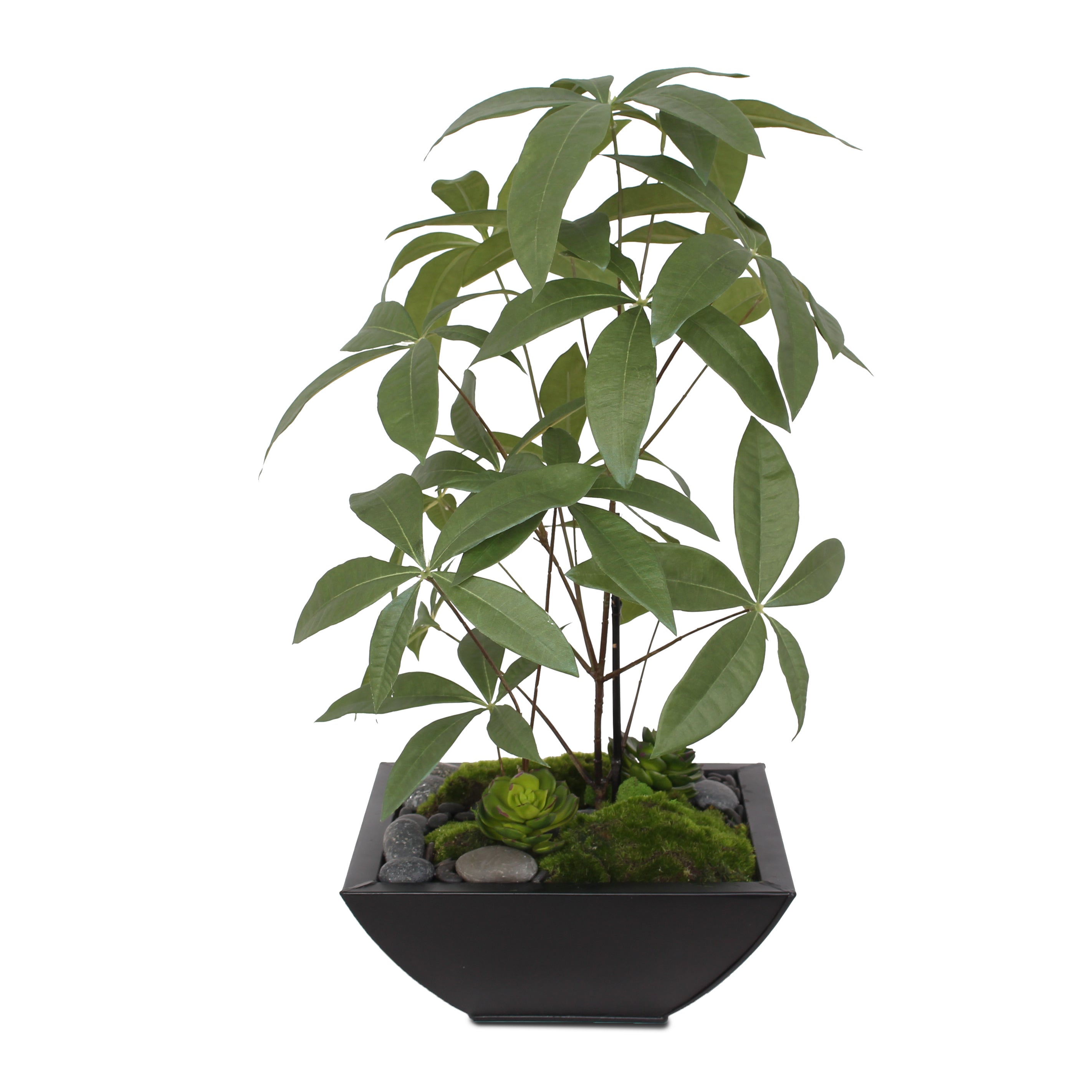 Schefflera Tree #LTS105-GR – Jenny Silks