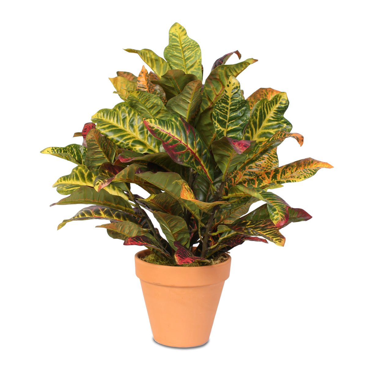 Real Touch Croton Plant in Clay Pot #P-70D
