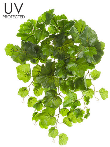 UV Protected Geranium Leaf Bush #PBG320-VG
