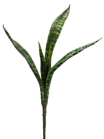 snake plant, Saint George's sword, mother-in-law's tongue, viper's bowstring hemp, artificial, silk flowers, succulent