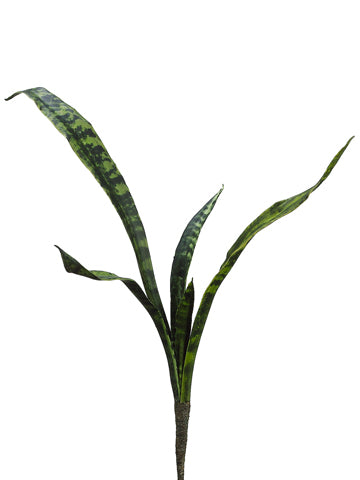 snake plant, Saint George's sword, mother-in-law's tongue, viper's bowstring hemp, artificial, silk flowers, succulent
