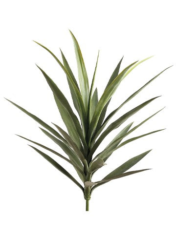 Asparagaceae, subfamily Agavoideae, succulent, artificial, silk flowers, yucca