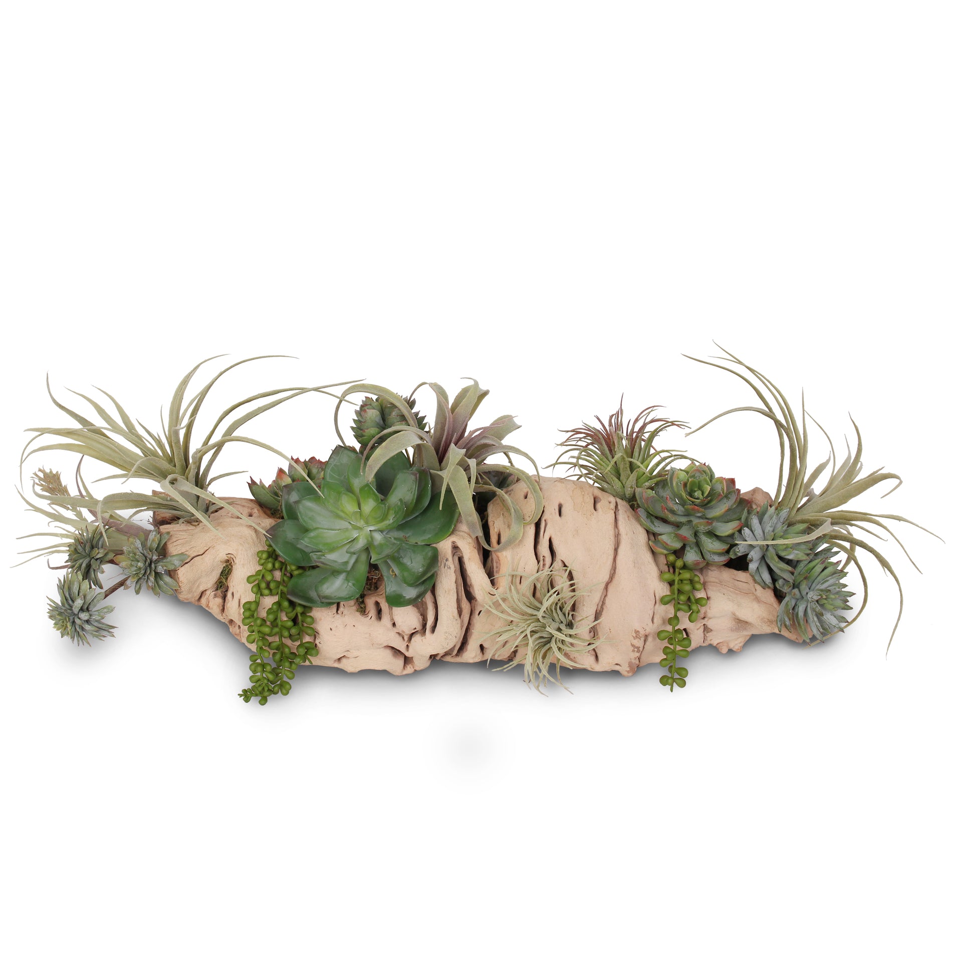 wood and wine succulents Succulents in Grapevine Wood Log #S-24