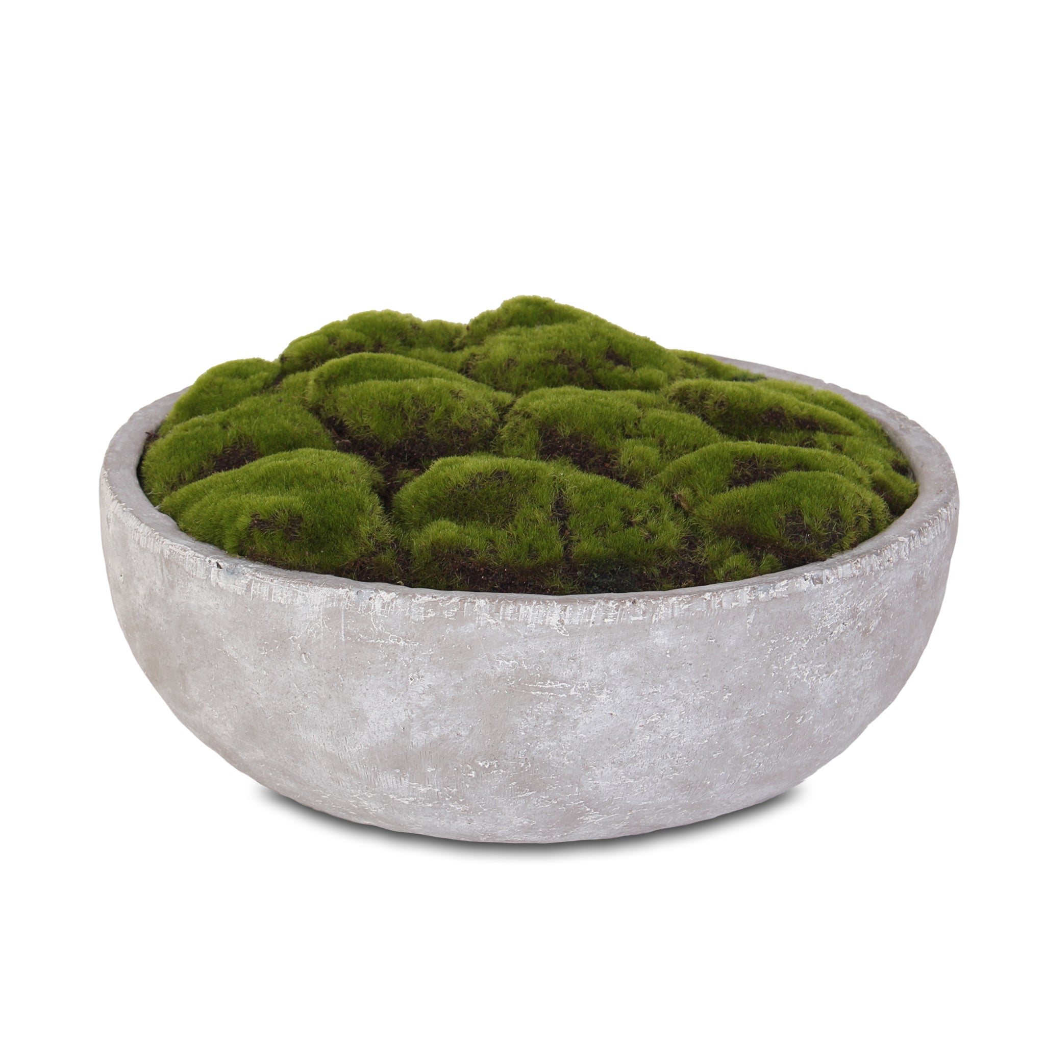 Potted Artificial/Faux Moss + Reviews