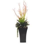 Pencil Cactus, Agave, Succulents Arrangement in A Black Square Metal Pot#S-39