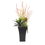 Pencil Cactus, Agave, Succulents Arrangement in A Black Square Metal Pot#S-39