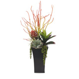 Pencil Cactus, Agave, Succulents Arrangement in A Black Square Metal Pot#S-39