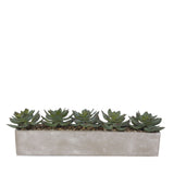 Faux Echeverias with Pebbles Succulent Arrangement In Cement Rectangular Pot#S-41