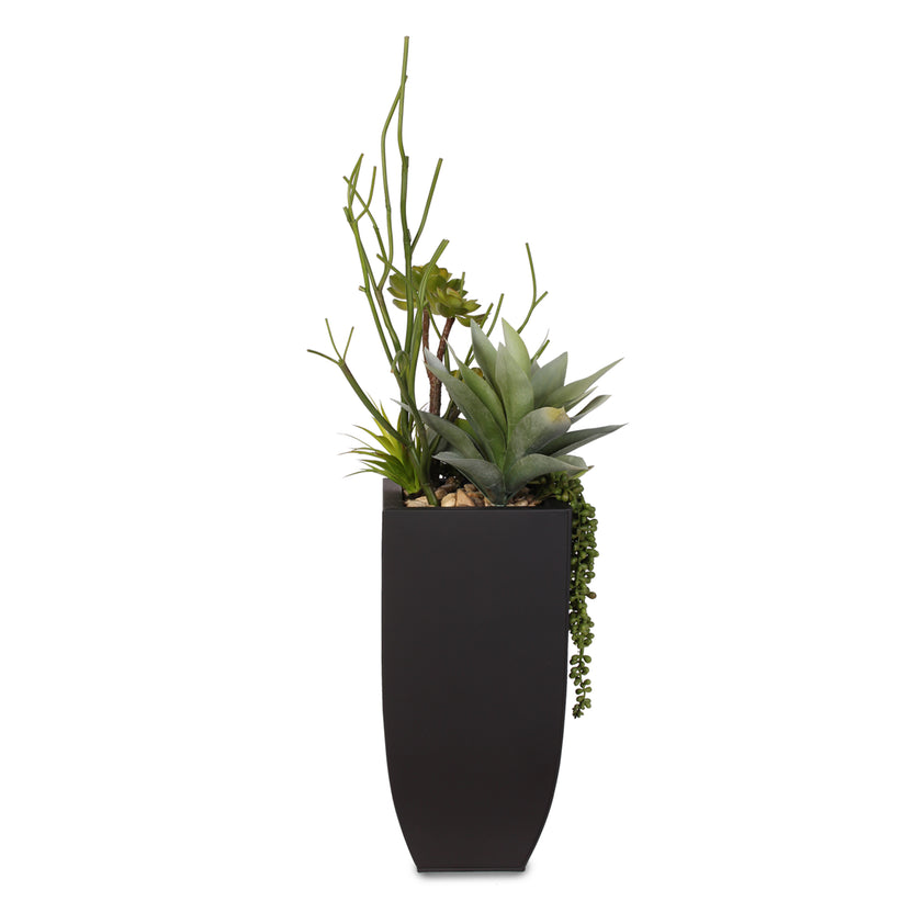 Botanical Succulent Variety in a Tall Black Modern Metal Planter #S-77 ...