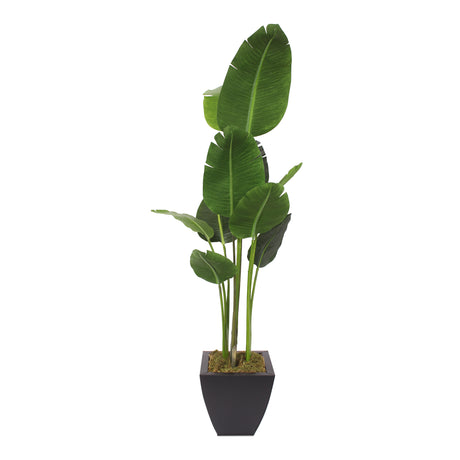 Modern Artificial Bird of Paradise Tree in Square Black Metal Zinc Pot #T-105