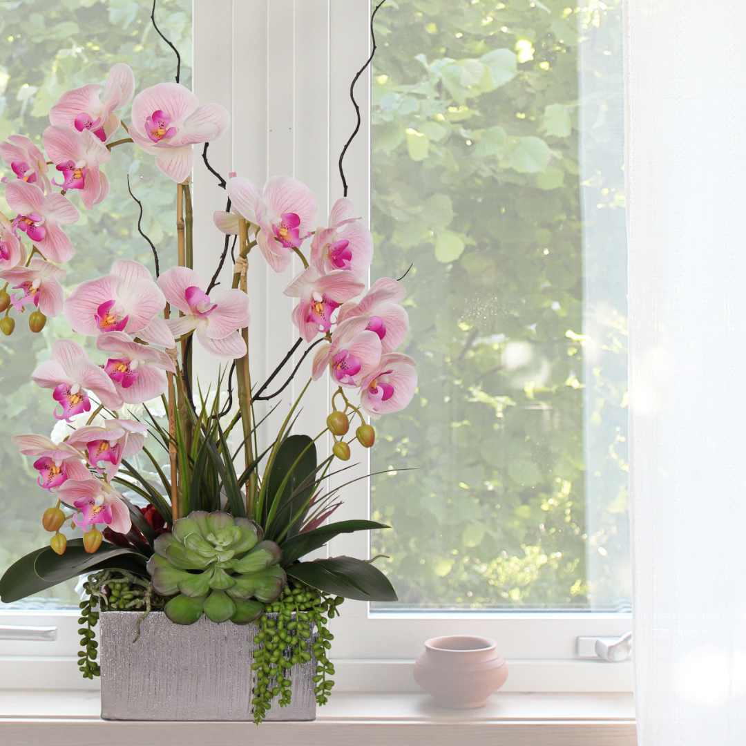 Jenny Silks Real Touch Pink Phalaenopsis Orchids and Succulents Flower