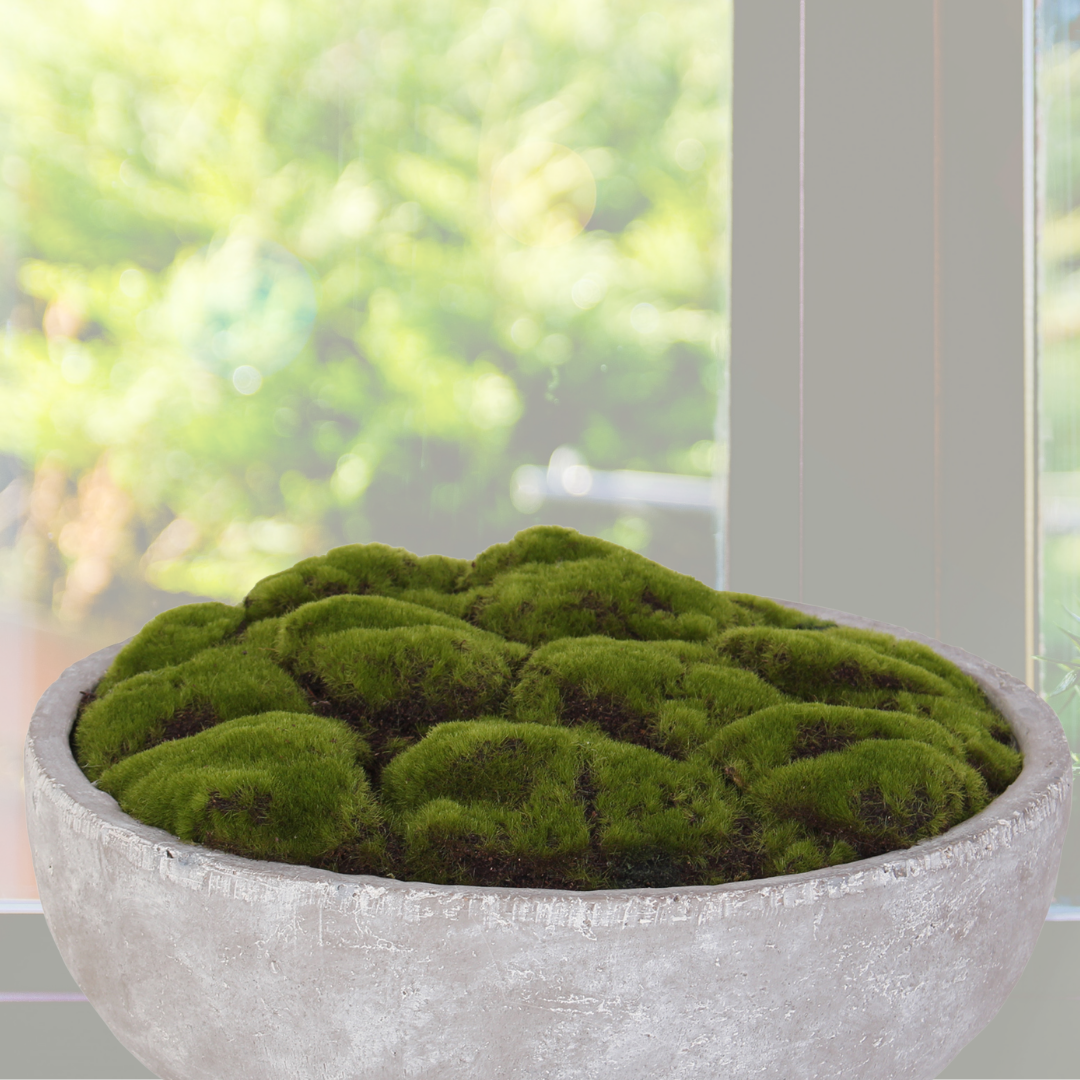 S-35 Artificial Fake Moss Arrangement in Round Stone Wash Cement Bowl - 14.5W x 14.5d x 2H, Green